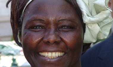 Abany’Afurikakazi 3 bamaze guhabwa igihembo kitiriwe Nobel.