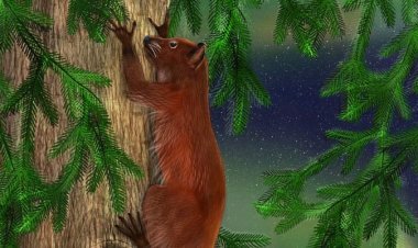 Wari uzi Ko: Mu_myaka miliyoni 52 ishize kumpera z’Isi hari ubuzima.