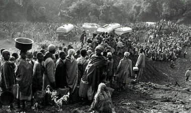 Zimwe muri Jenoside zabaye mu mateka y'Isi.