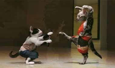 Burya si buno, buri muntu ni_mutima ukwe.