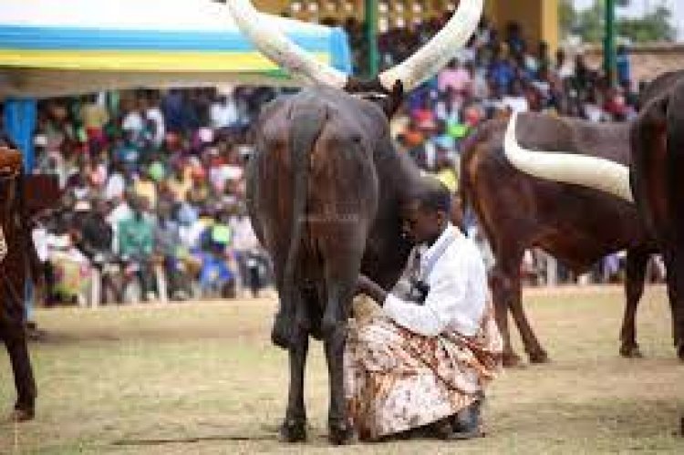 ESE INKWANO NTâ€™ISHOBORA KUBA MU BIRI GUTUMA ABASORE BADASHAKA? ABAKOBWA NABO BAGAHERA IWABO BATEGEREJE INKWANO?.